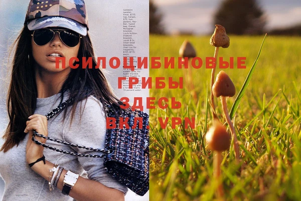 спиды Волоколамск