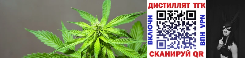 ТГК гашишное масло  купить  сайты  Катайск 